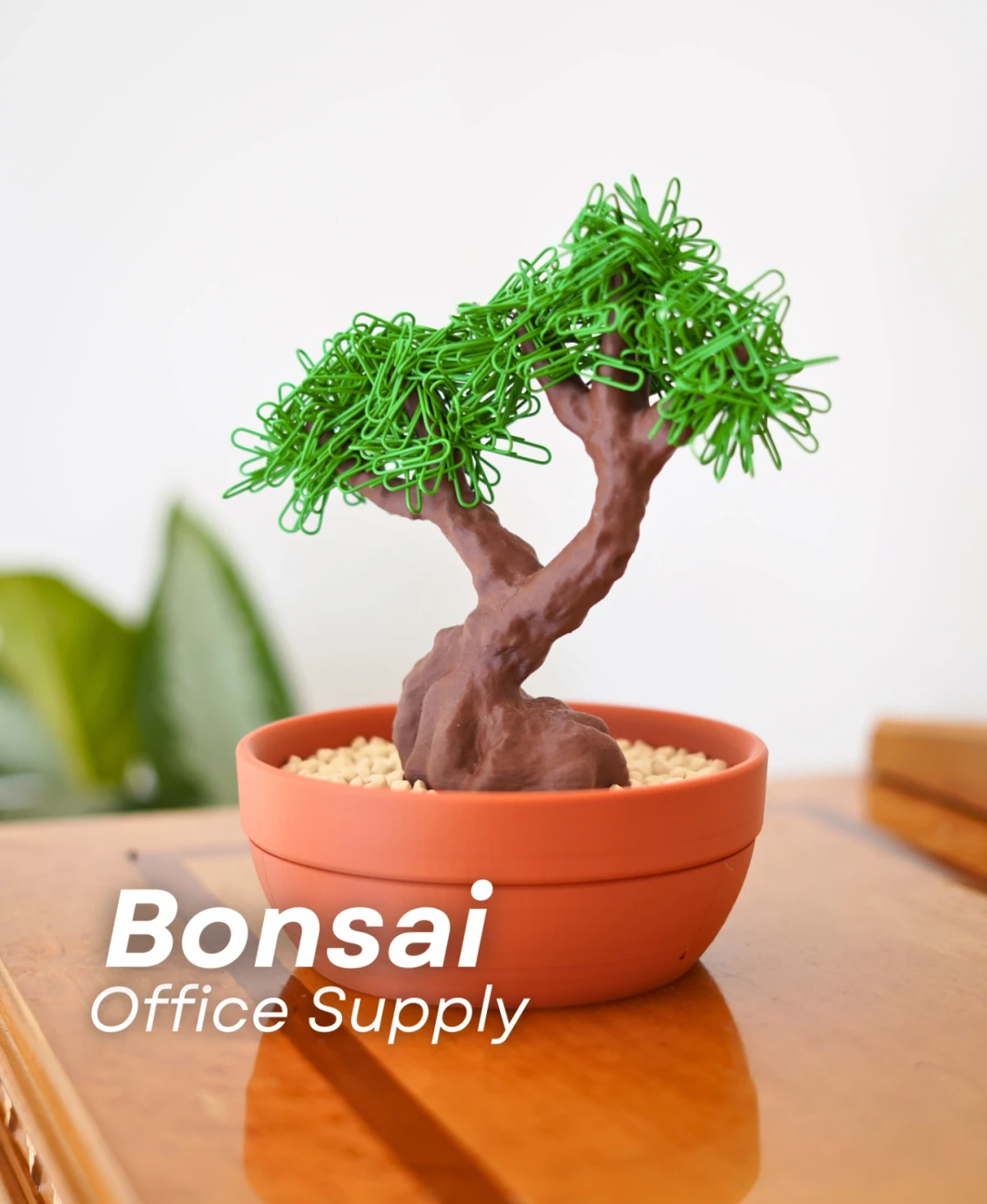 Bonsai Kalemlik & Masa Düzenleyici