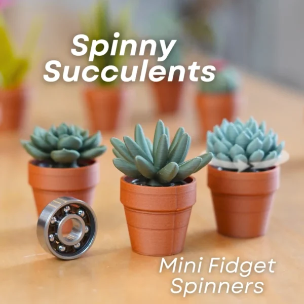 Dönen Sukulent Fidget Seti
