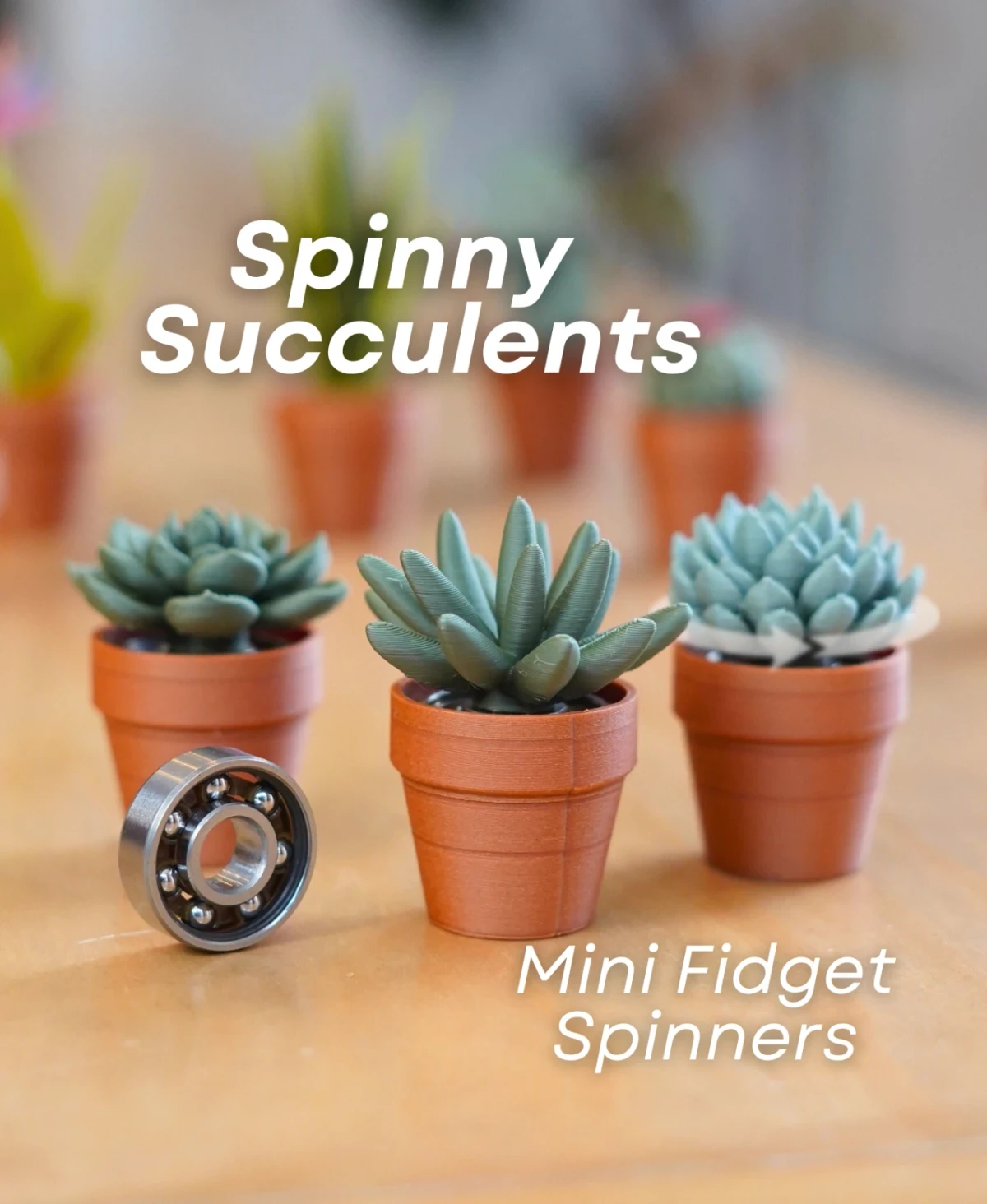 Dönen Sukulent Fidget Seti