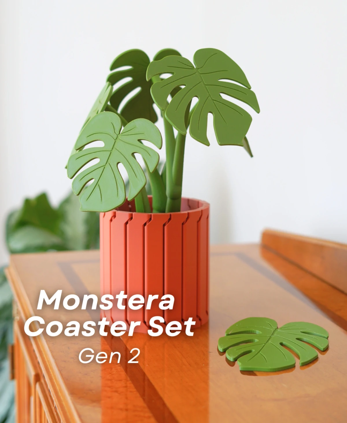 Monstera Bardak Altlığı Seti